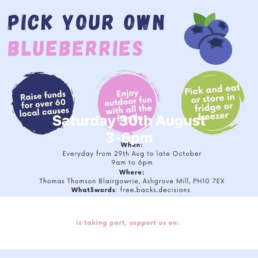 Women's Walk and Talk Fundraiser - Pick your own Blueberries